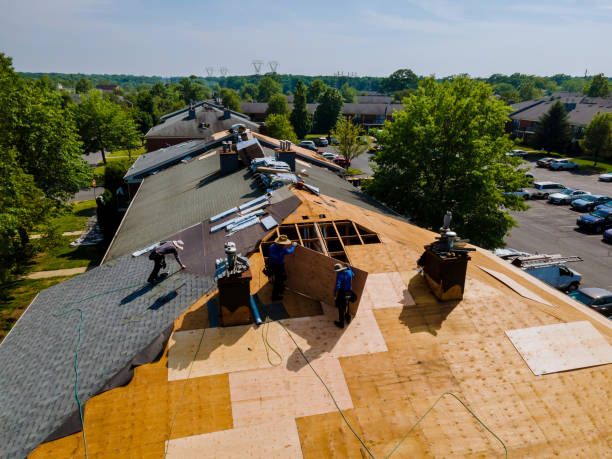 Best Commercial Roof Installation  in Clayton, GA