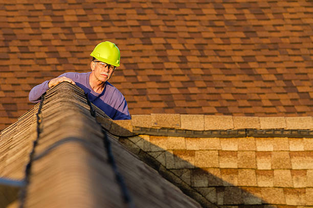 Best Roof Gutter Cleaning  in Clayton, GA